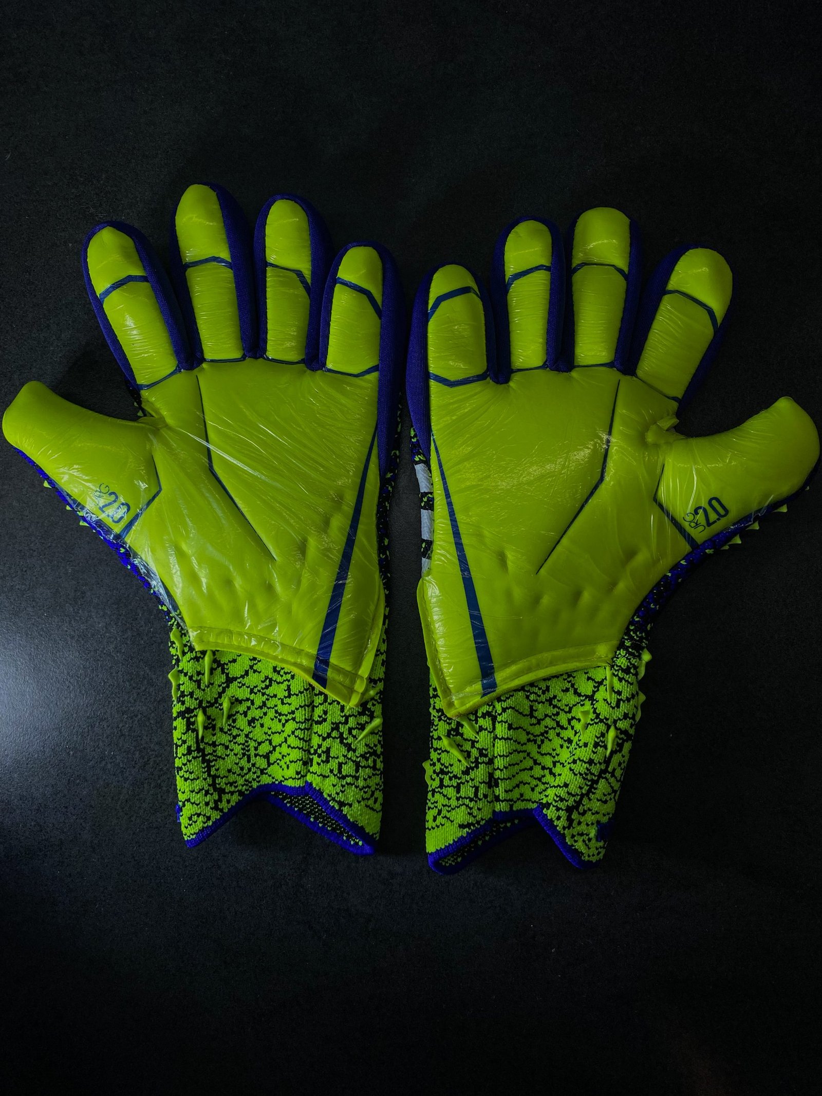 Воротарські рукавички Predator 20 Pro