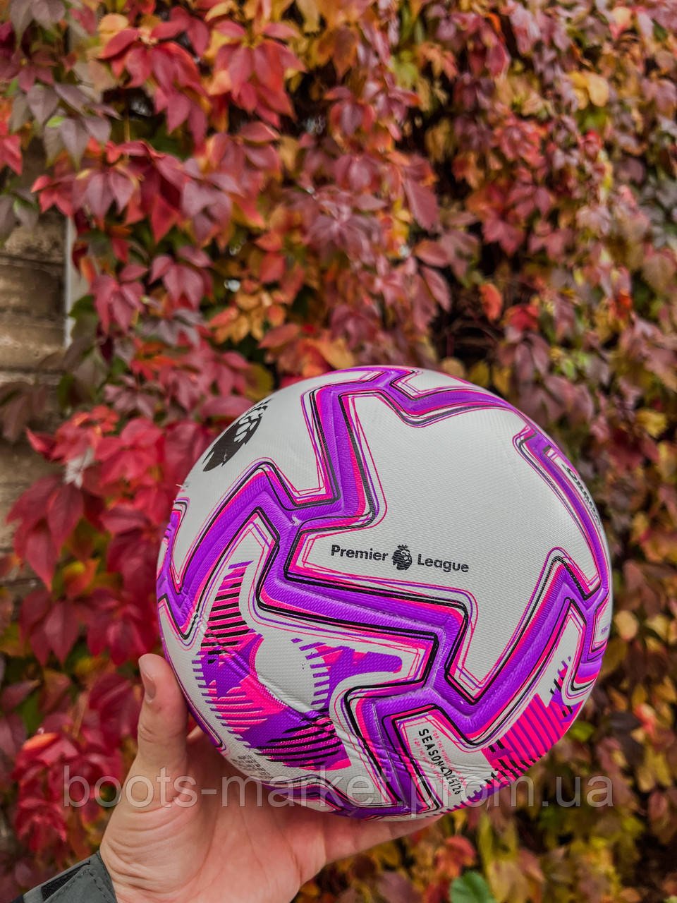 Футбольный мяч Premier League